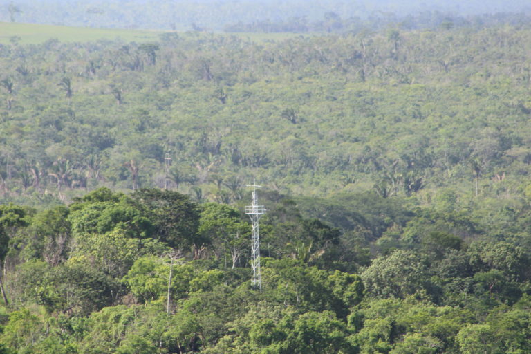 armic.es ARMIC- Asociación de aficionados a la radio del Grupo Social ONCE, construyendo contigo una radioafición accesible derribando barreras. Imagen: Vista de torre de antenas de la estación de radio V31HQ en Belize